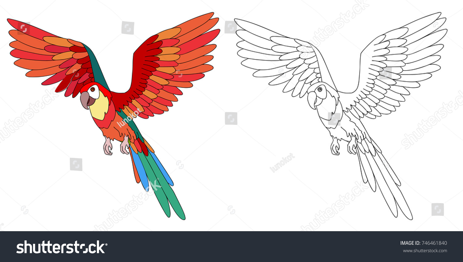 Flying Ara Parrot Cartoon Page Coloring Stock Vector Royalty Free 746461840