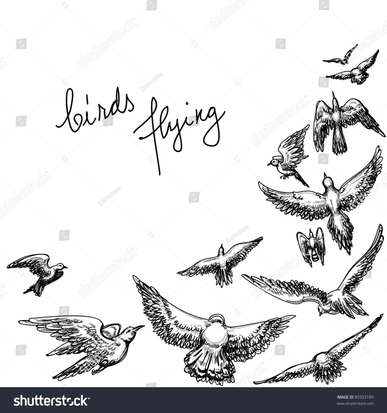 Flying Birds Background Pencil Drawing Vector Stock Vector