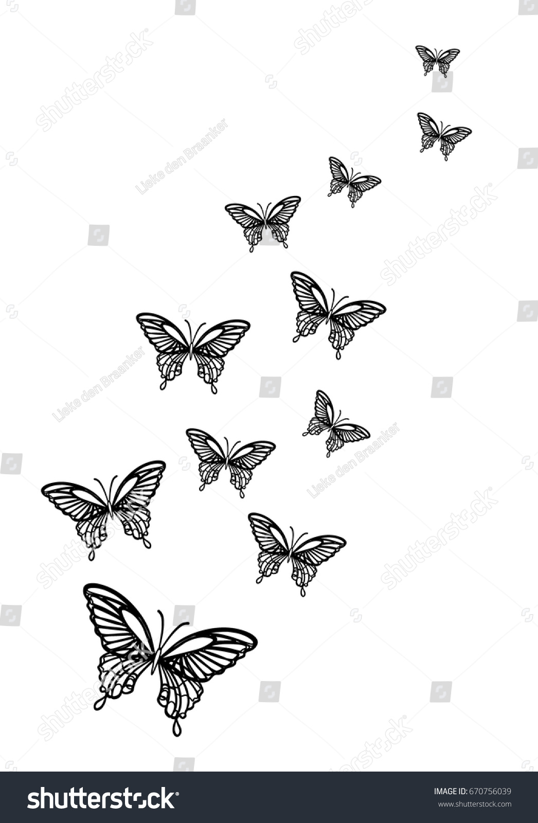 flying butterflies outline isolated stock vector royalty free 670756039 shutterstock