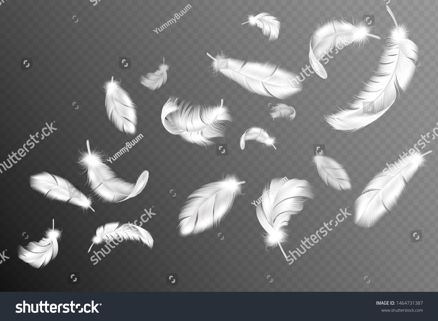 2,280 Covert feather Images, Stock Photos & Vectors | Shutterstock