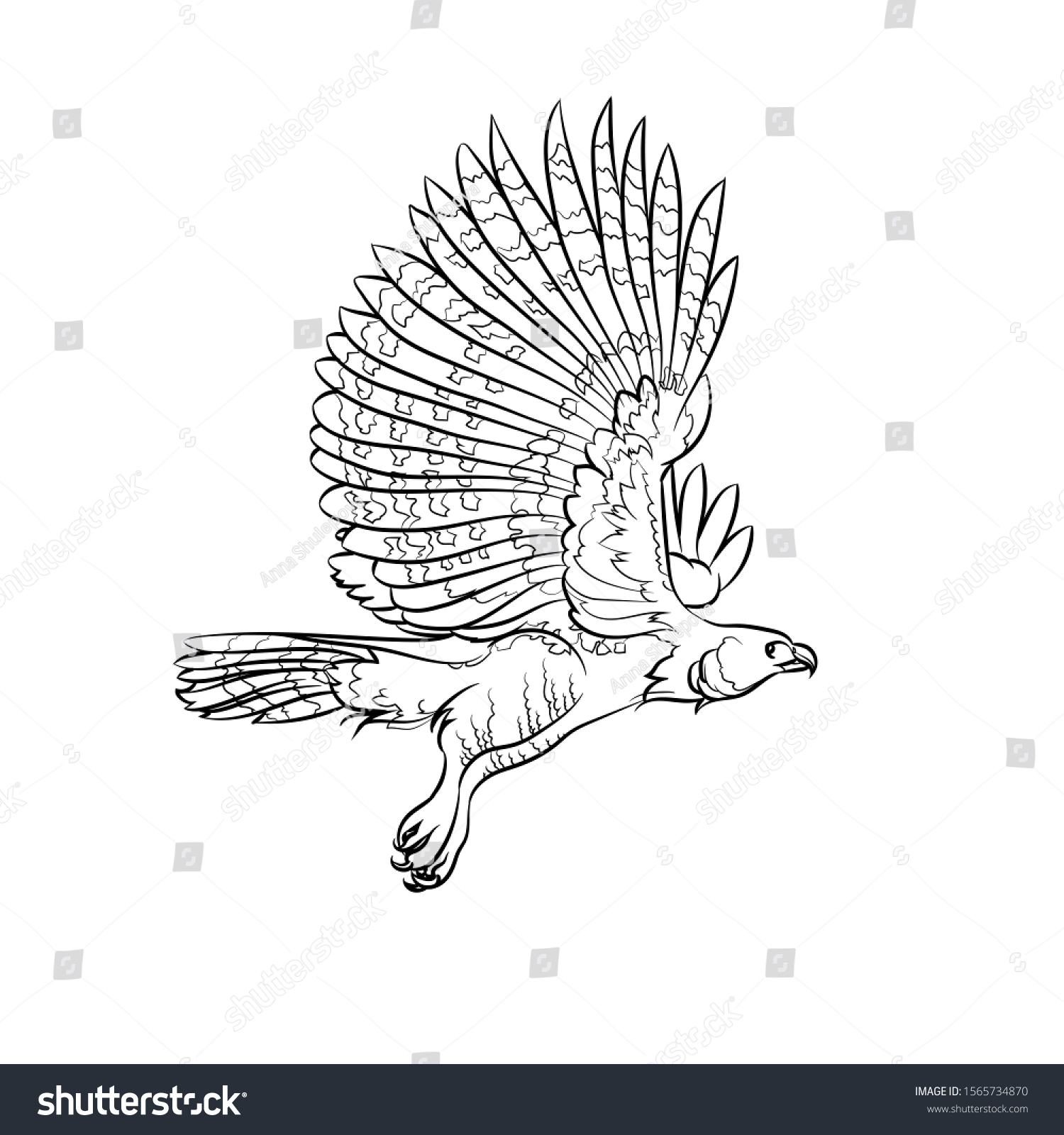 Vektor Stok Flying Harpy Eagle Line Drawing Vector (Tanpa Royalti