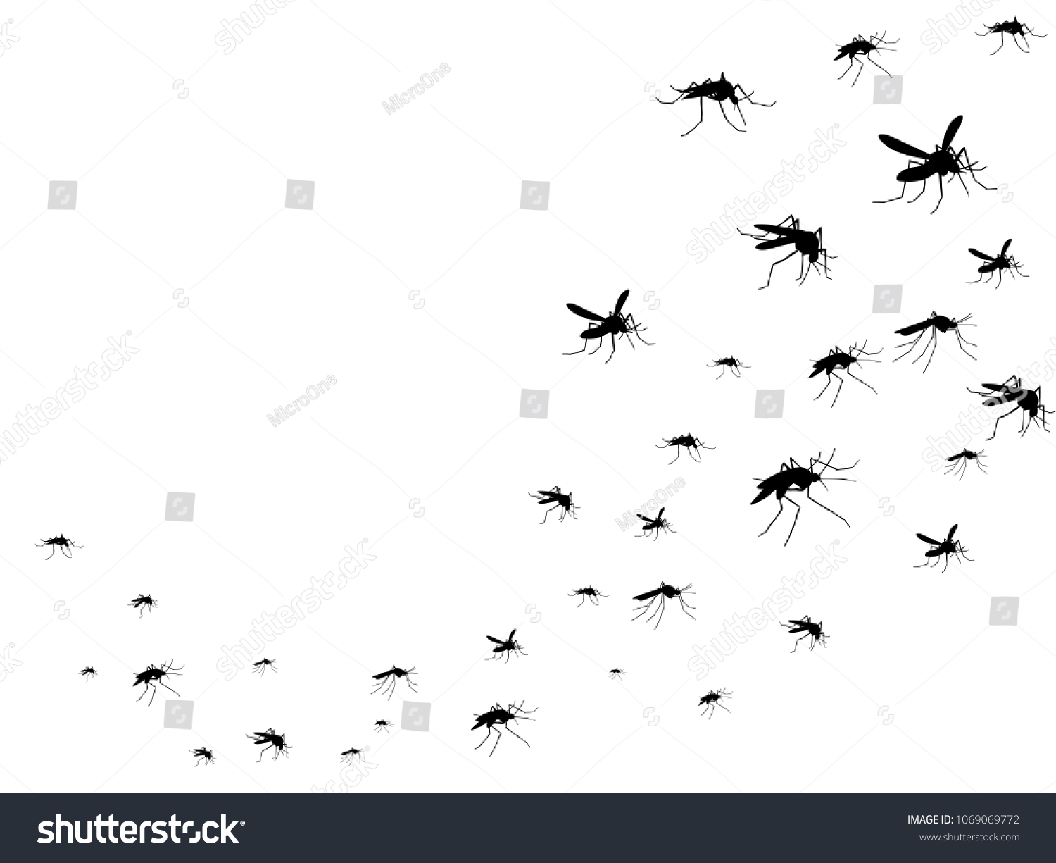 飛蚊の黒いシルエット 虫が空に群がる ウイルスや病気が医療のベクター画像のコンセプトを広めている 虫の蚊の黒いシルエット 蚊と害虫のイラスト のベクター画像素材 ロイヤリティフリー