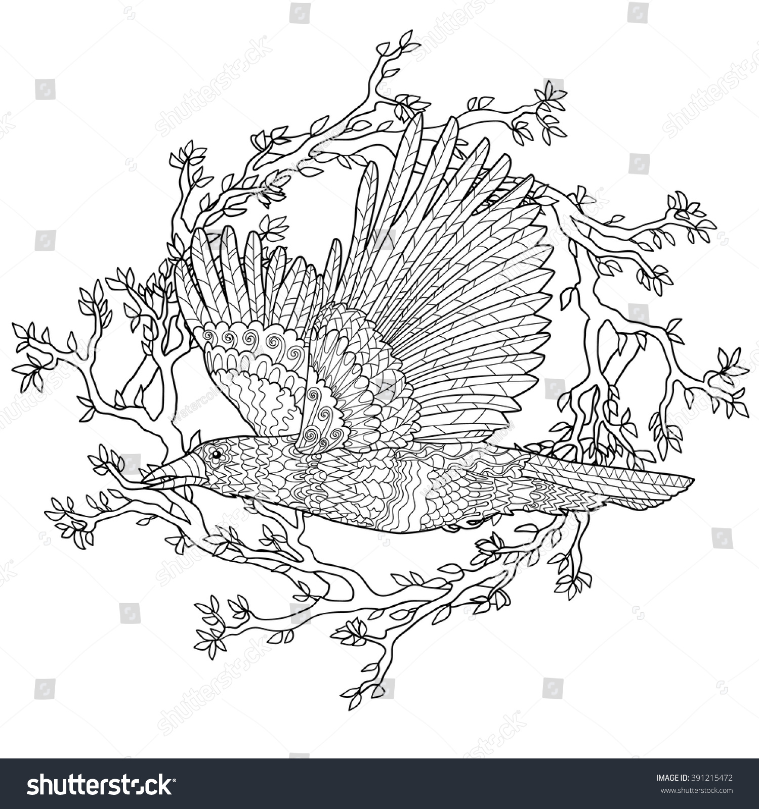 Adult anti stress coloring page with crow Black