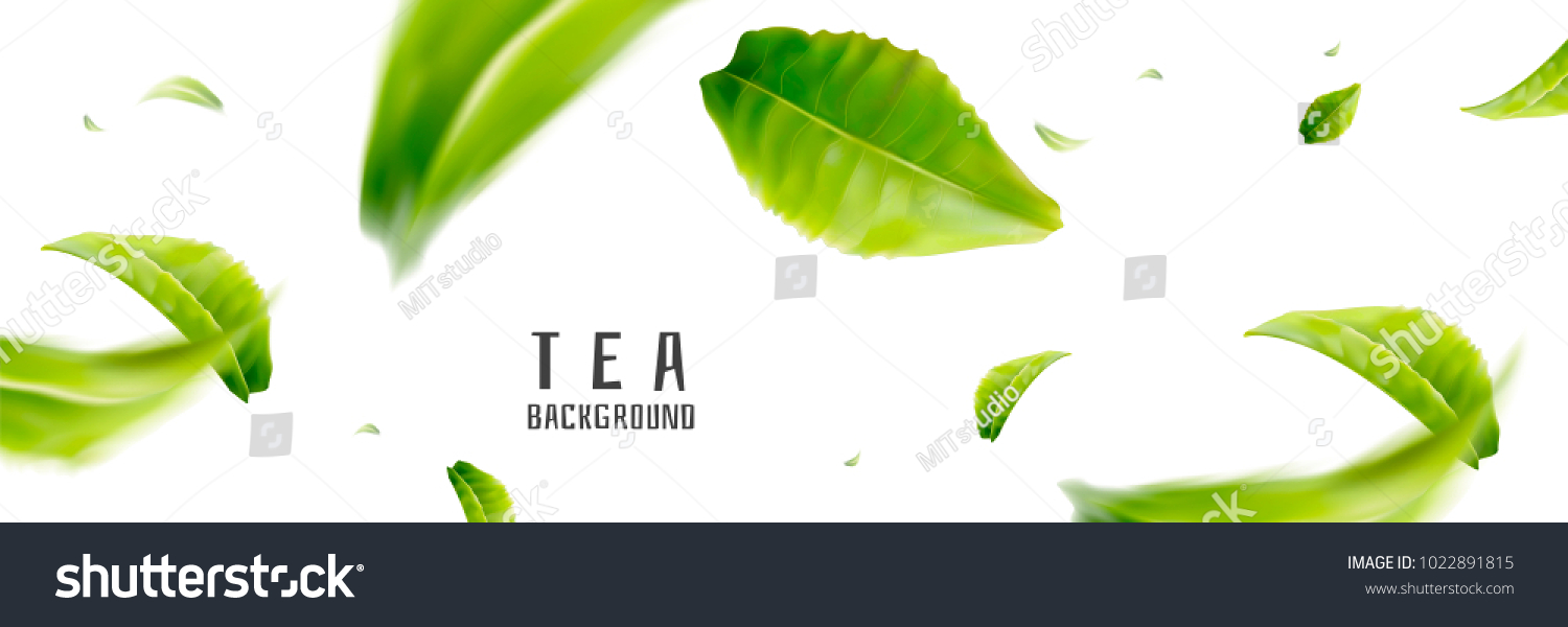 Flying Tea Background Fresh Design Elements Stock Vector (Royalty Free ...