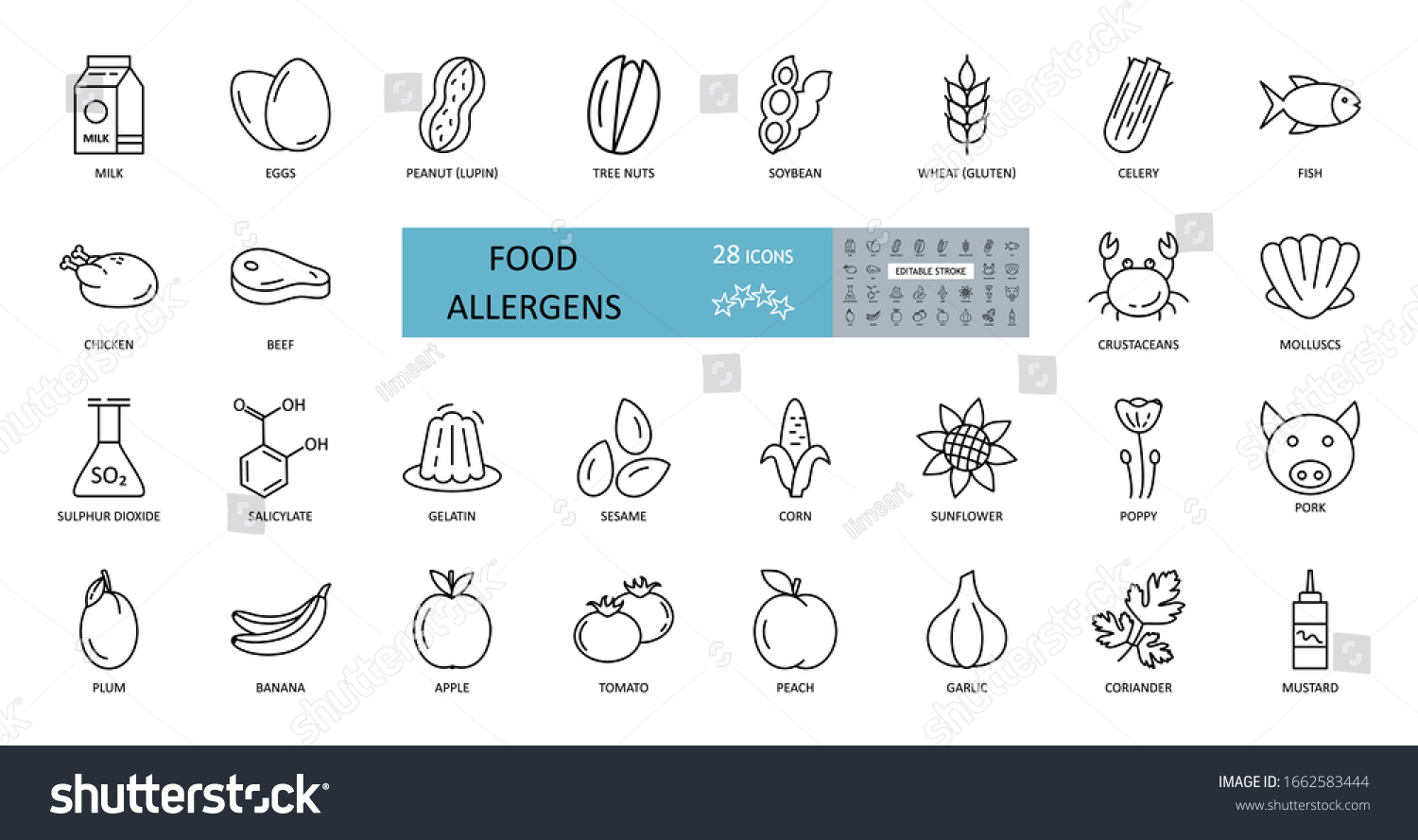 SVG of Food allergens icon. Vector set of 28 icons with editable stroke. The collection contains most allergenic products, such as gluten, fish, eggs, shellfish, peanuts, lupine, soy, celery, milk, tree nuts svg
