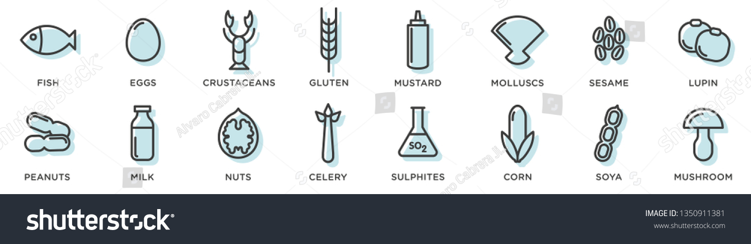 SVG of Food allergy icons. Basic allergens and diet line icons vector set. Isolated on white background  svg