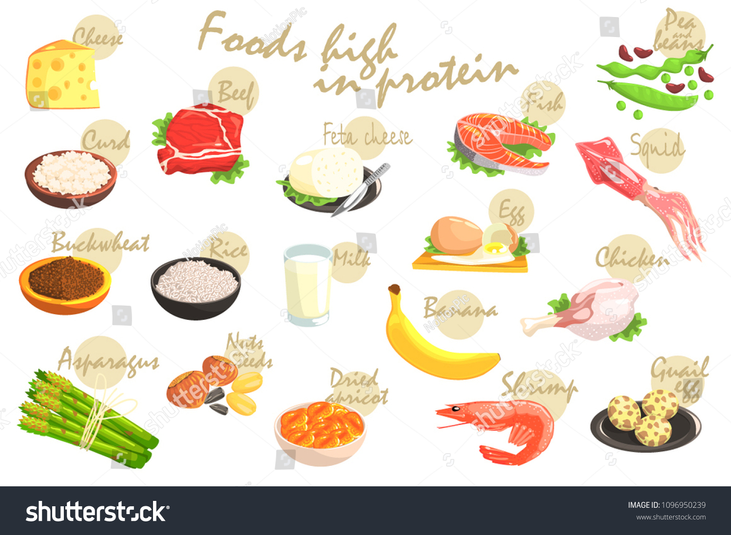 Food Rich Proteins Poster Stock Vector Royalty Free 1096950239 Shutterstock 7605