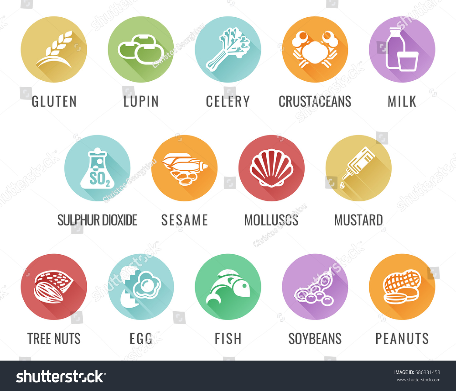 SVG of Food safety allergy icons including the 14 allergies outlined by the EU European Food Safety Authority which encompass the big 8 FDA Major Allergens svg