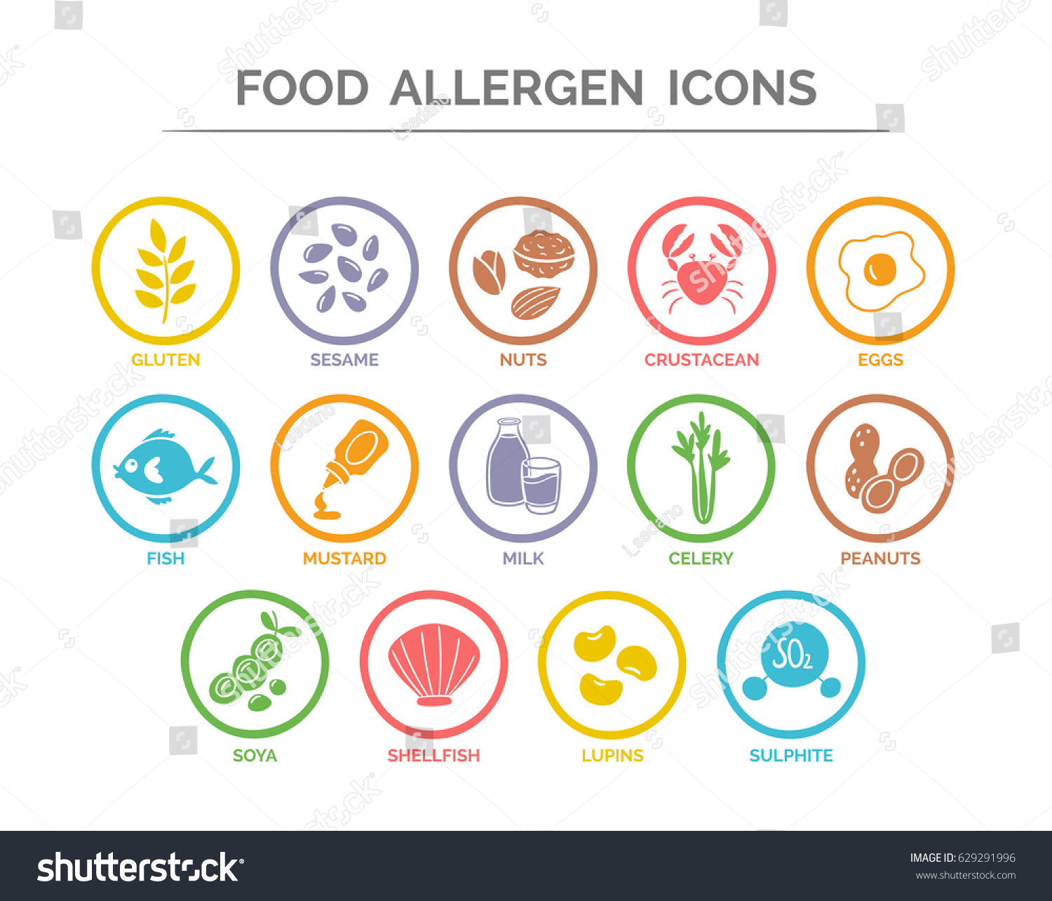 Food Safety Allergy Icons Set 14 Stock Vector 629291996 - Shutterstock