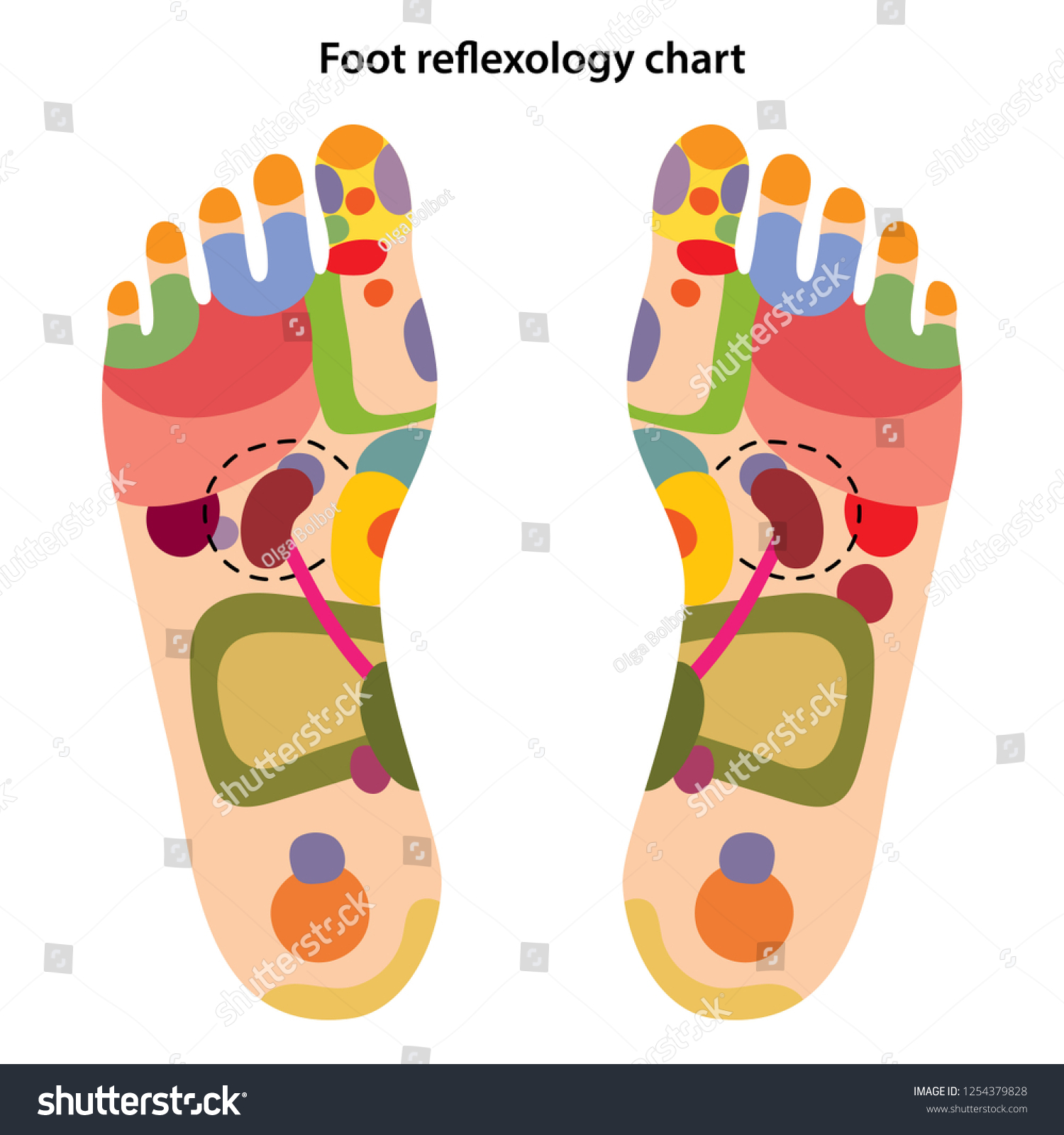 Acupuncture Foot Chart