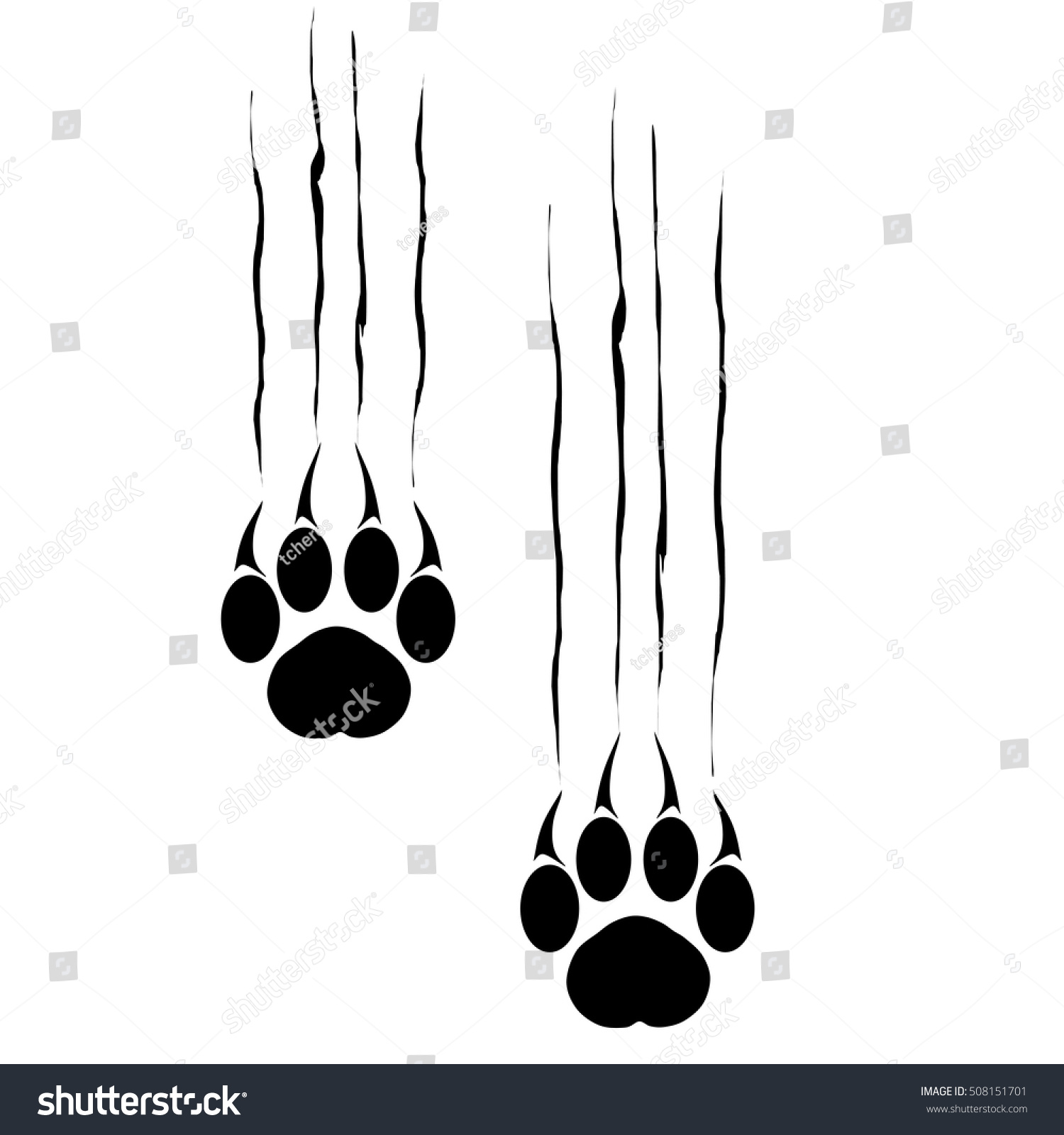 tiger footprints clipart - photo #41