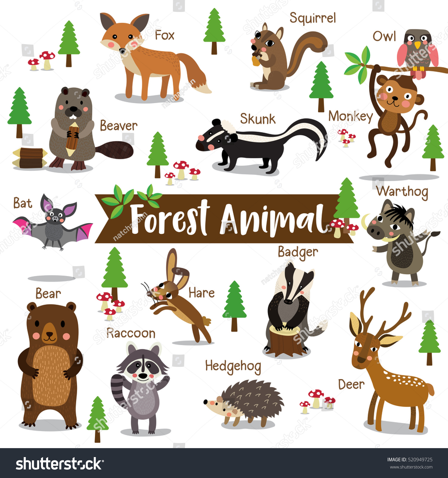 Forest Animal Cartoon On White Background With Animal Name. Stock ...