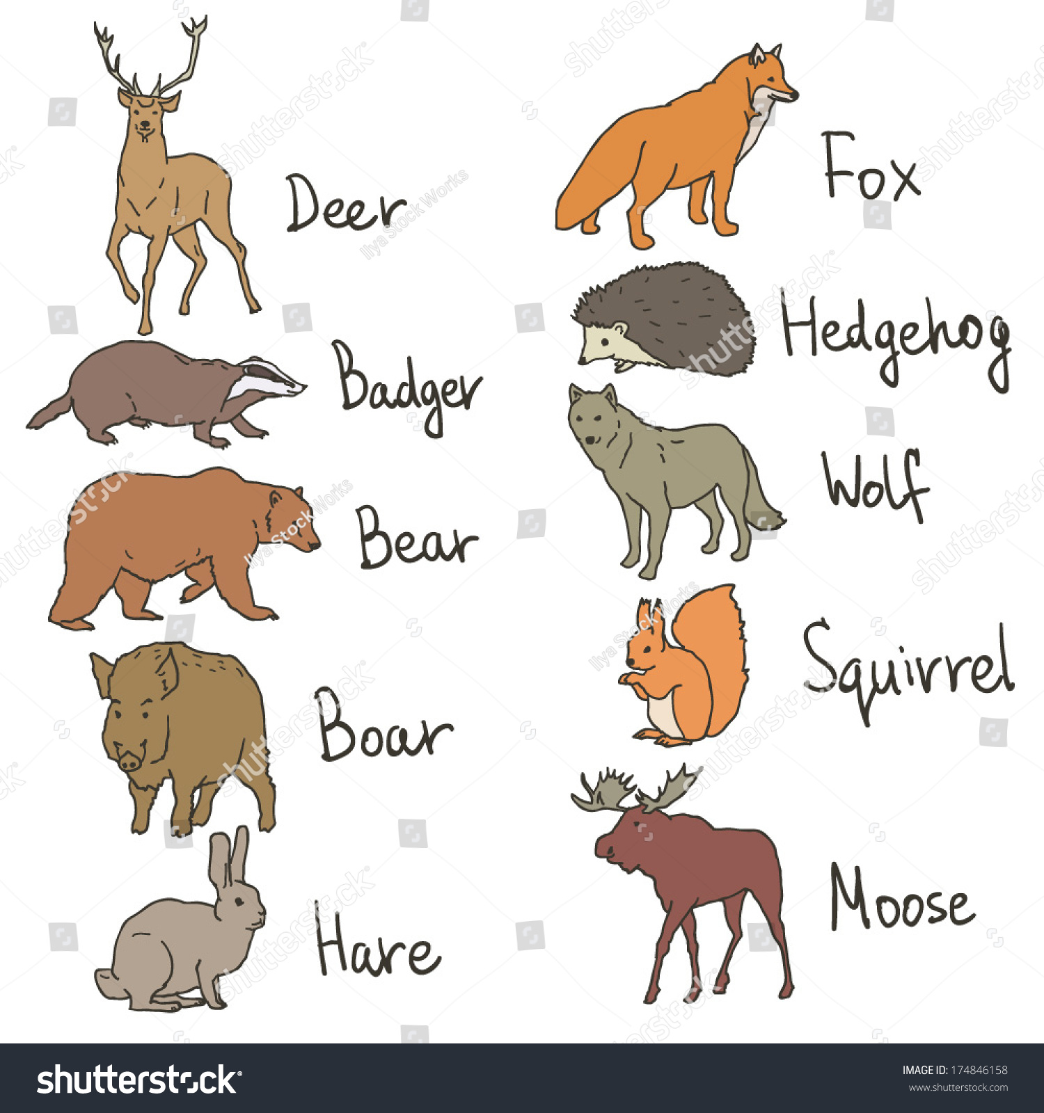 Forest Animals Drawings Icons Set On Stock Vector Royalty Free