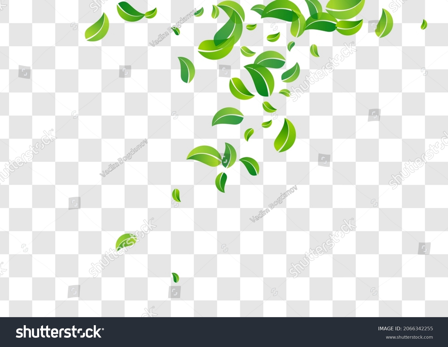 Forest Greens Forest Vector Transparent Background Stock Vector ...