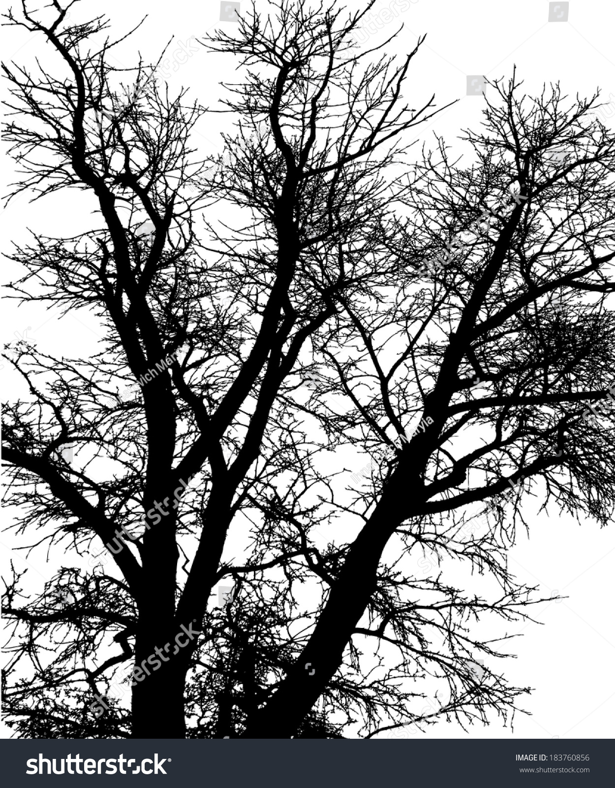 Forest Tree Branches Silhouette Vector Stock-vektorgrafik 183760856