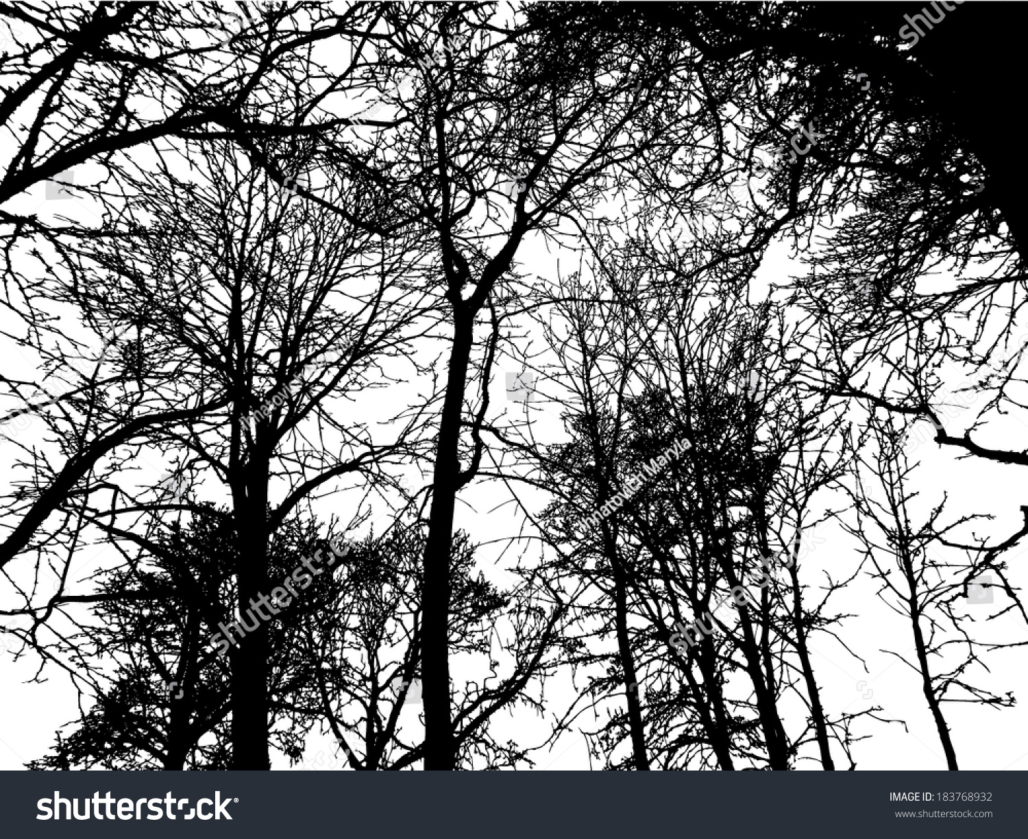 Forest Tree Branches Silhouette Vector Stock Vector 183768932