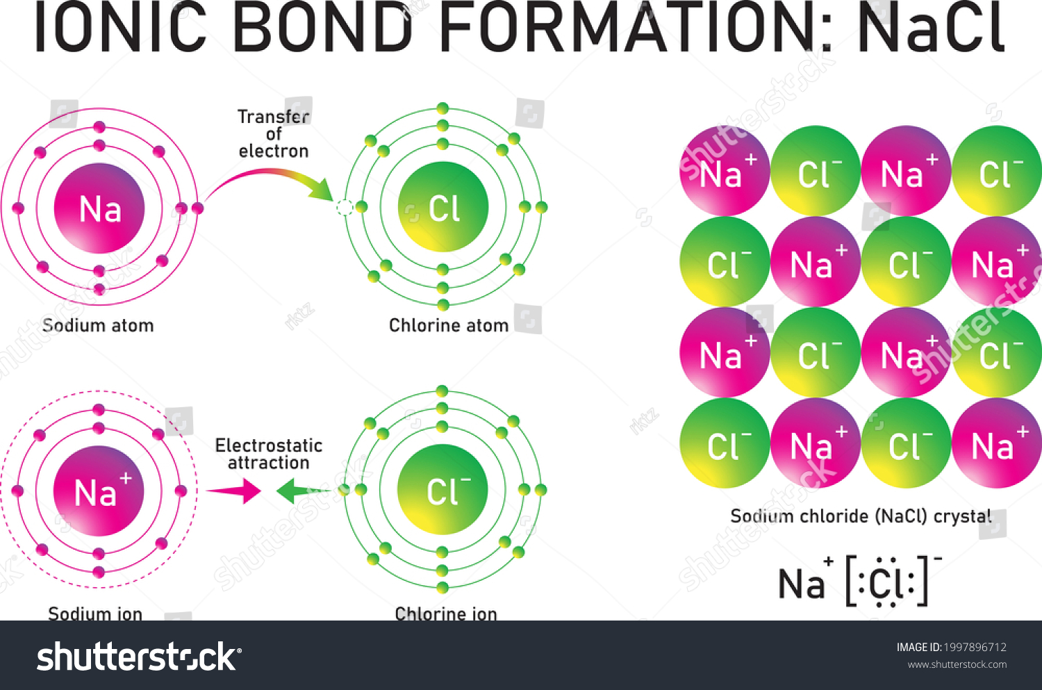 Formation Ionic Bond Sodium Chloride Nacl 27388 | Hot Sex Picture