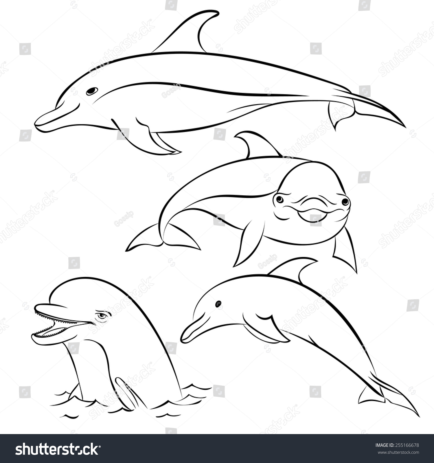 Four Dolphins, Sketch On White Background. Stock Vector Illustration ...