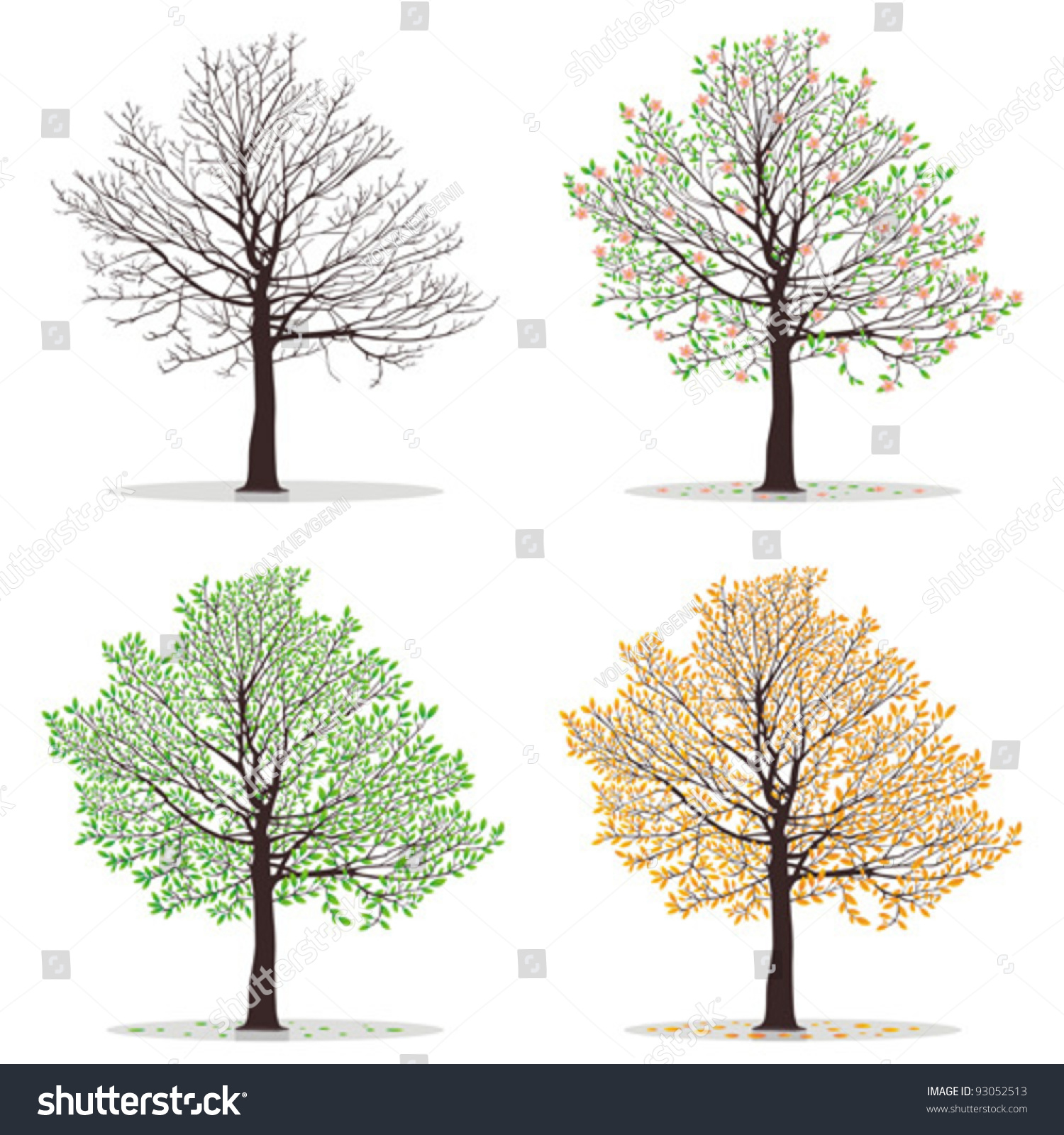 Four Seasons - Spring, Summer, Autumn, Winter. Art Tree Beautiful For ...