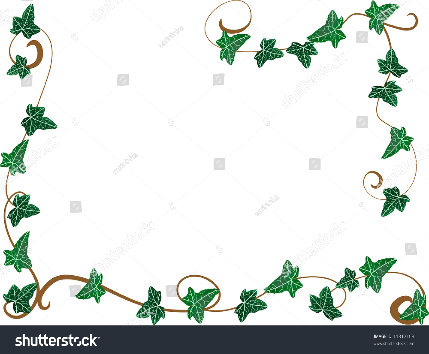 Frame Ivy Stock Vector 11812108 - Shutterstock