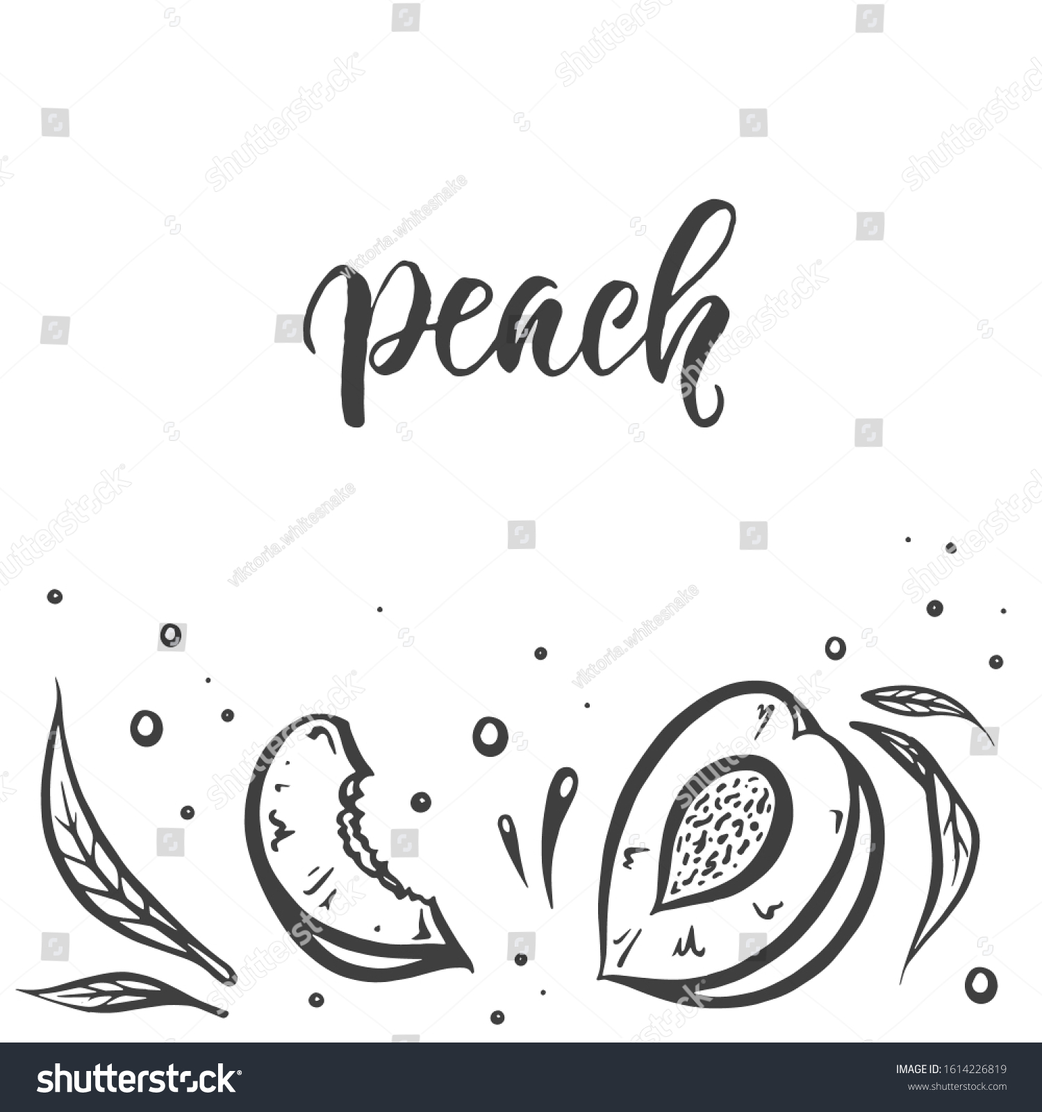 Frame Peaches Doodle Style Hand Drawn Stock Vector Royalty Free