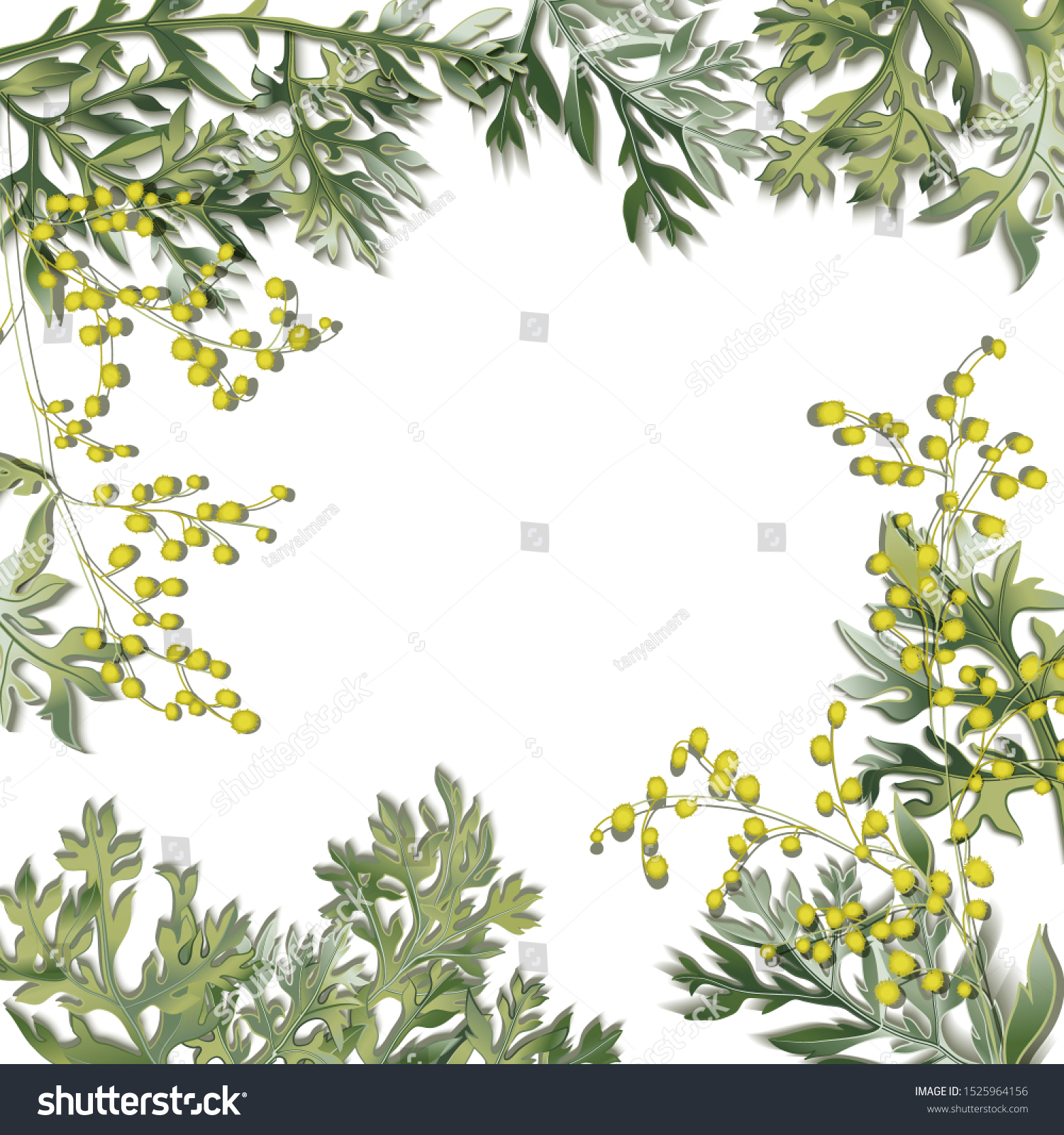 Frame Wormwood Around Artemisia Absinthium Wormwood Stock Vector Royalty Free 1525964156
