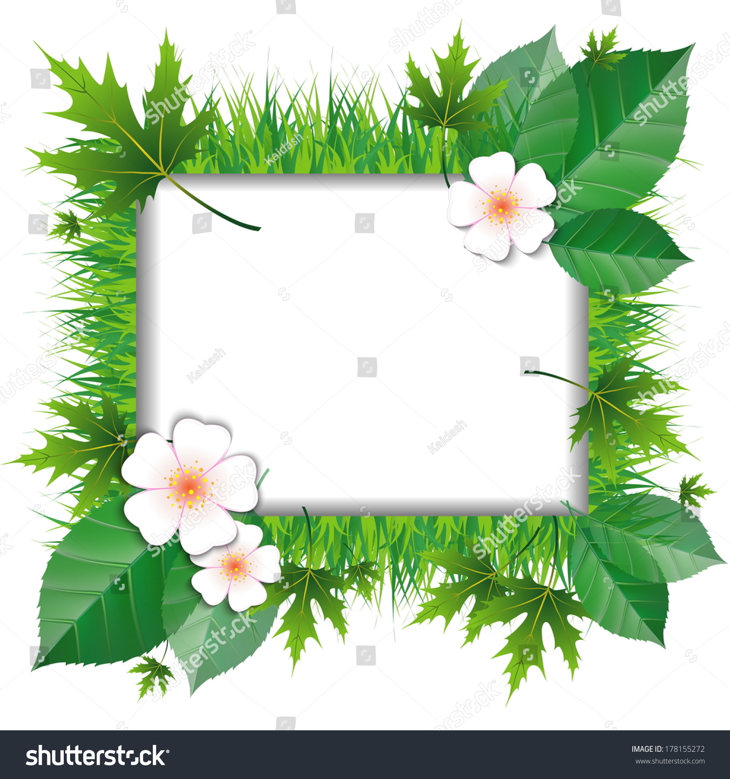 Frame Flower Grass Leaves On White Stock Vector (Royalty Free ...