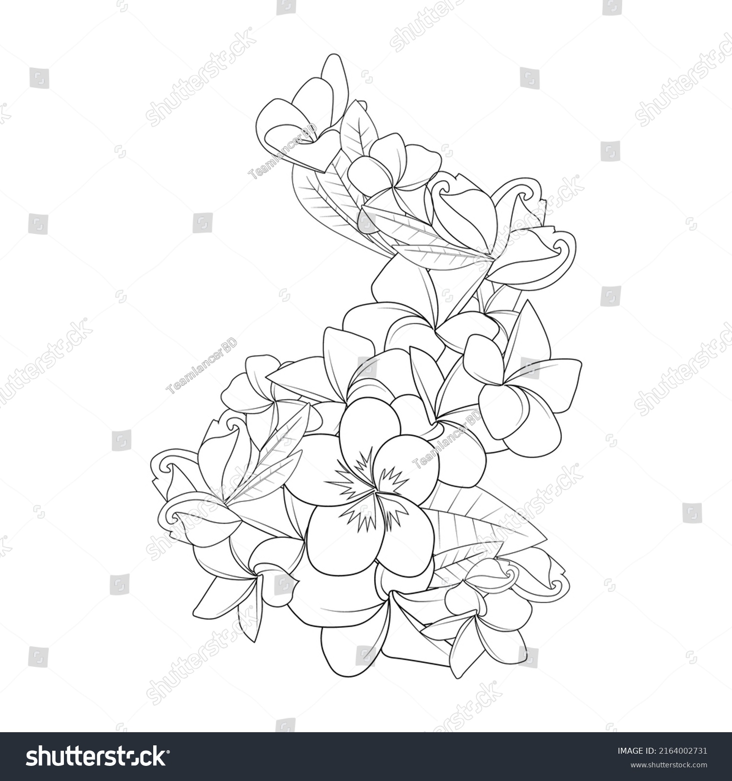 Frangipani Flower Doodle Coloring Page Outline Stock Vector (Royalty ...