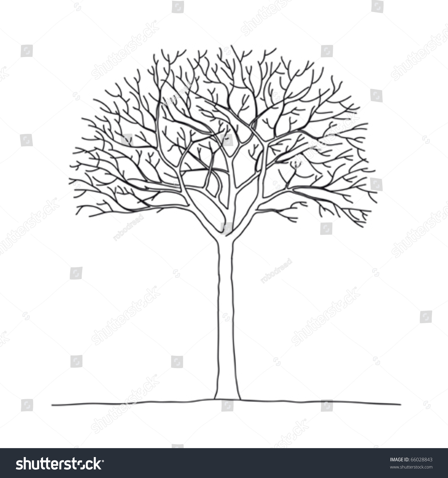 Freehand Drawing Bare Tree Vector Illustration Stock Vector (Royalty ...