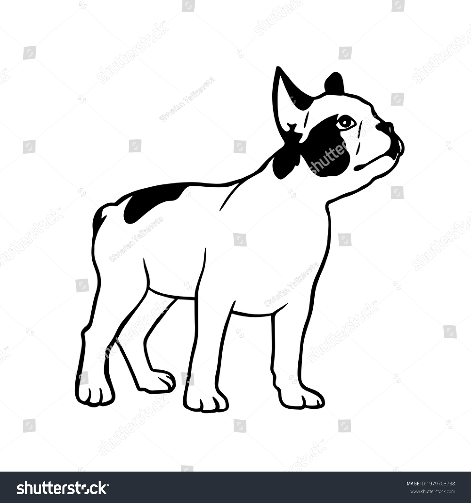 SVG of french bulldog pappy in graphic style. Creative illustrations
Clipart file for cutting vinyl decal and printing svg