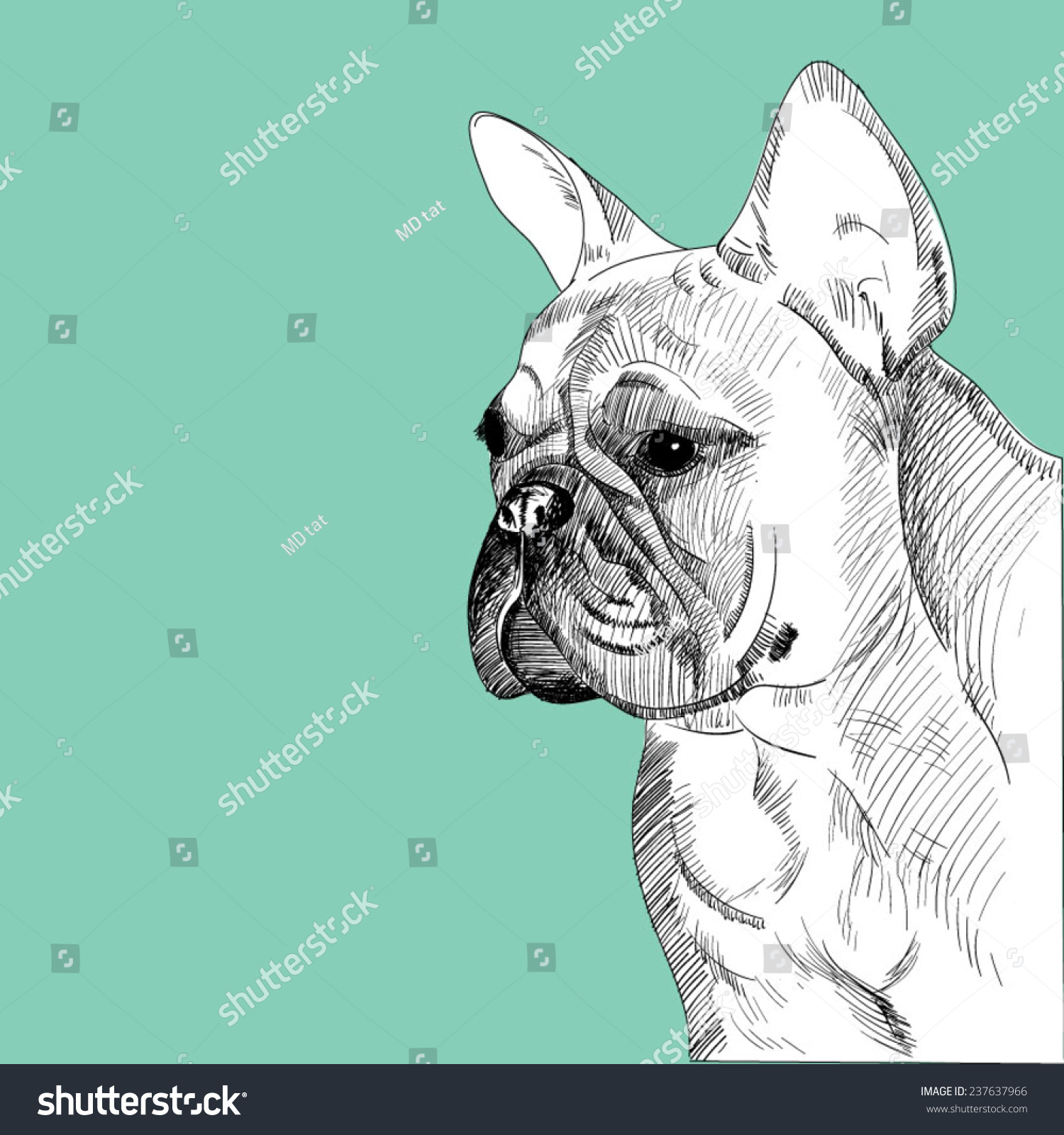 French Bulldog Portrait Hand Drawn Vector Stock Vector 237637966