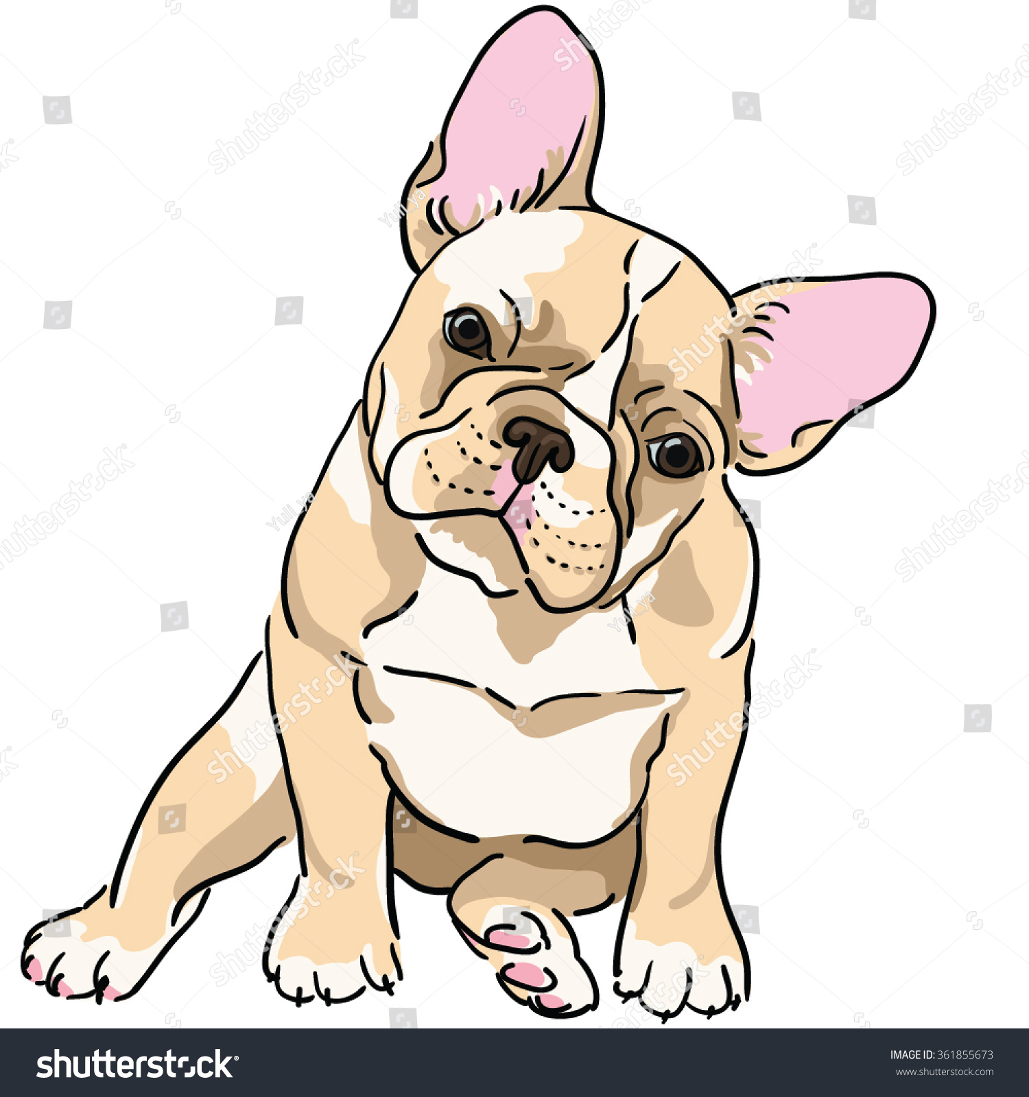 French Bulldog Vector Illustration Stock Vector 361855673 - Shutterstock