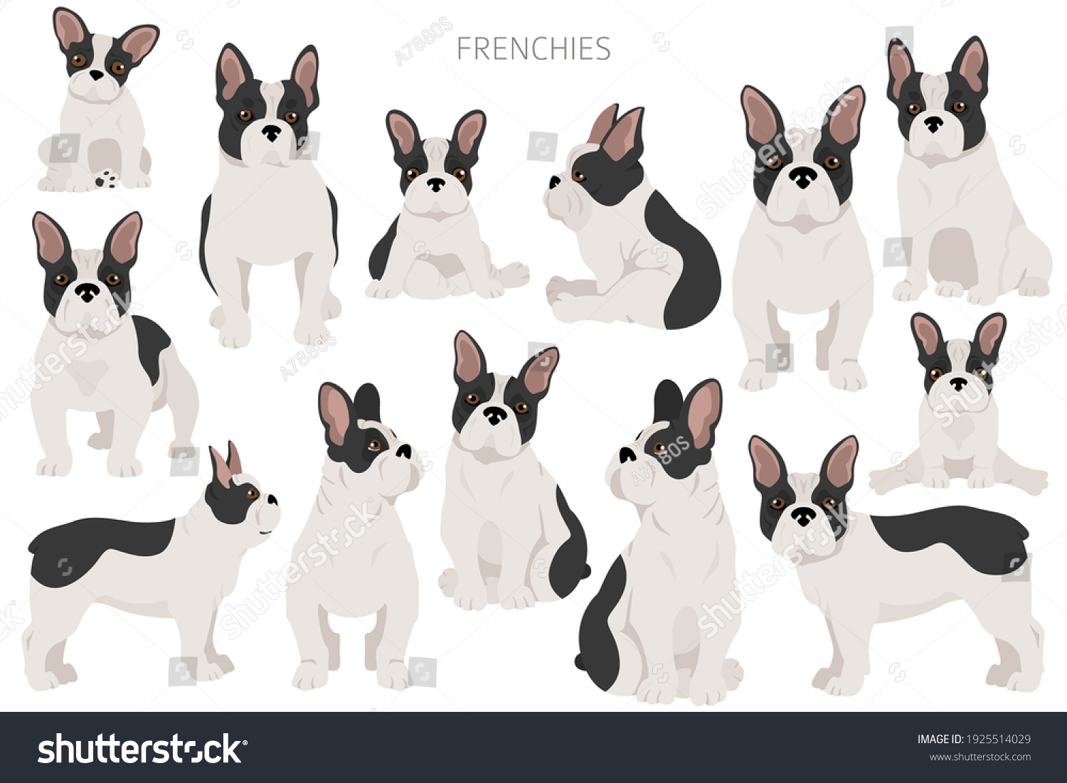 Clipart-frenchie Images, Stock Photos & Vectors | Shutterstock