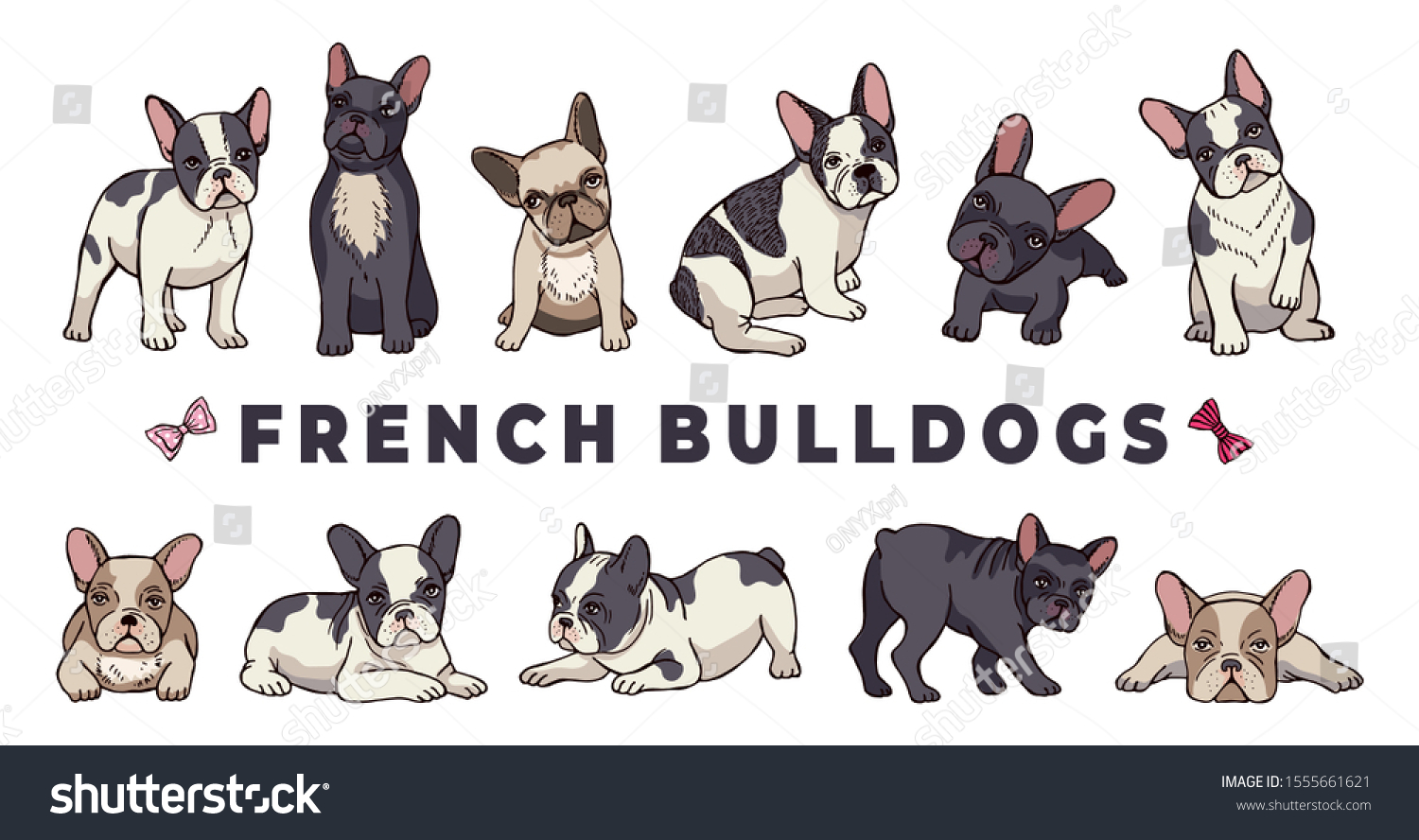 108,392 French bulldog Images, Stock Photos & Vectors | Shutterstock