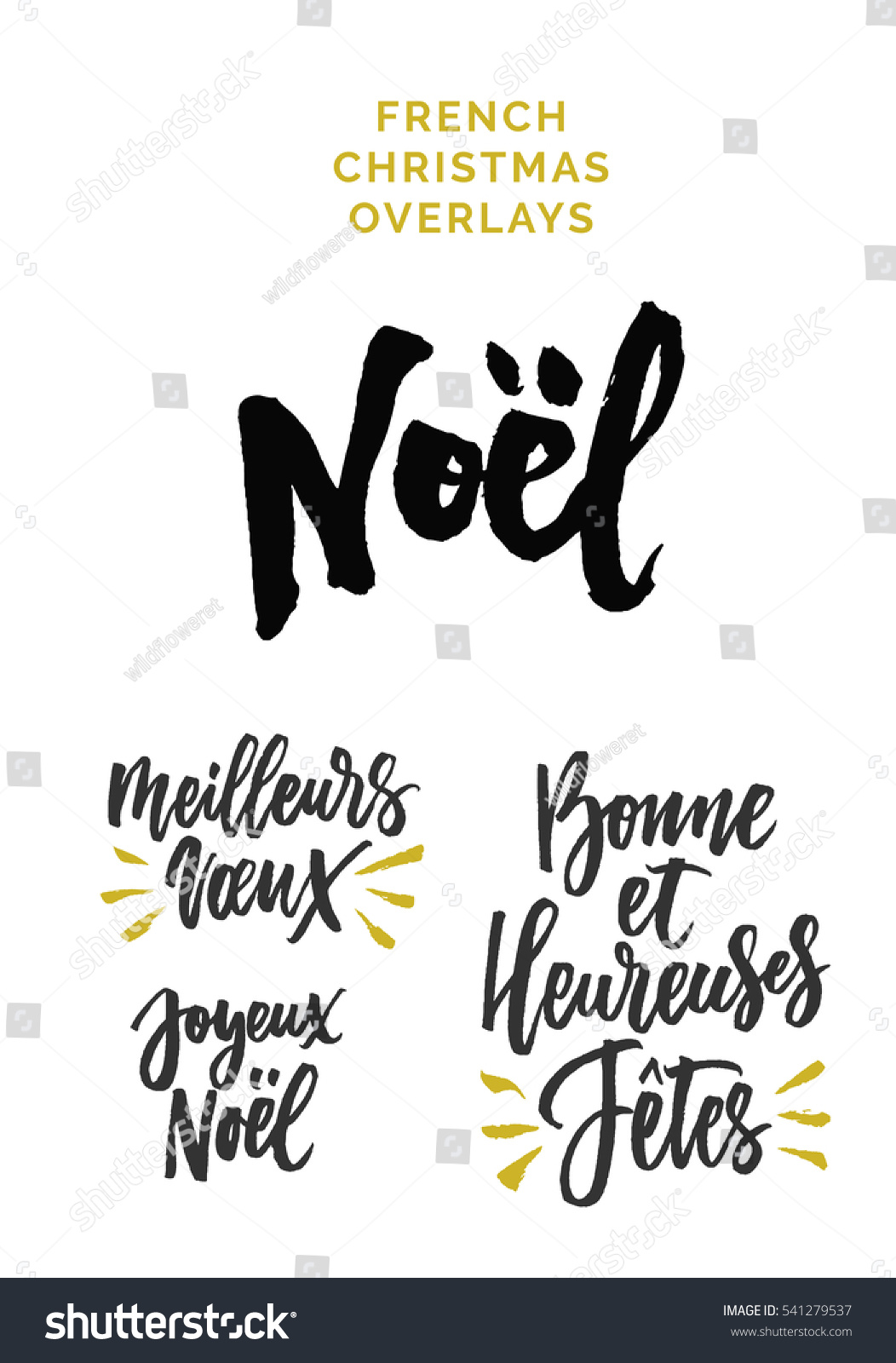 French Christmas Expressions Meaning Merry Christmas Stock Vector 541279537 - Shutterstock