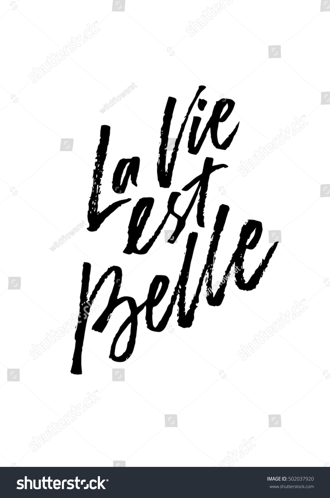 French quote La vie est Belle meaning Life is beautiful Unique hand drawn inspirational quote