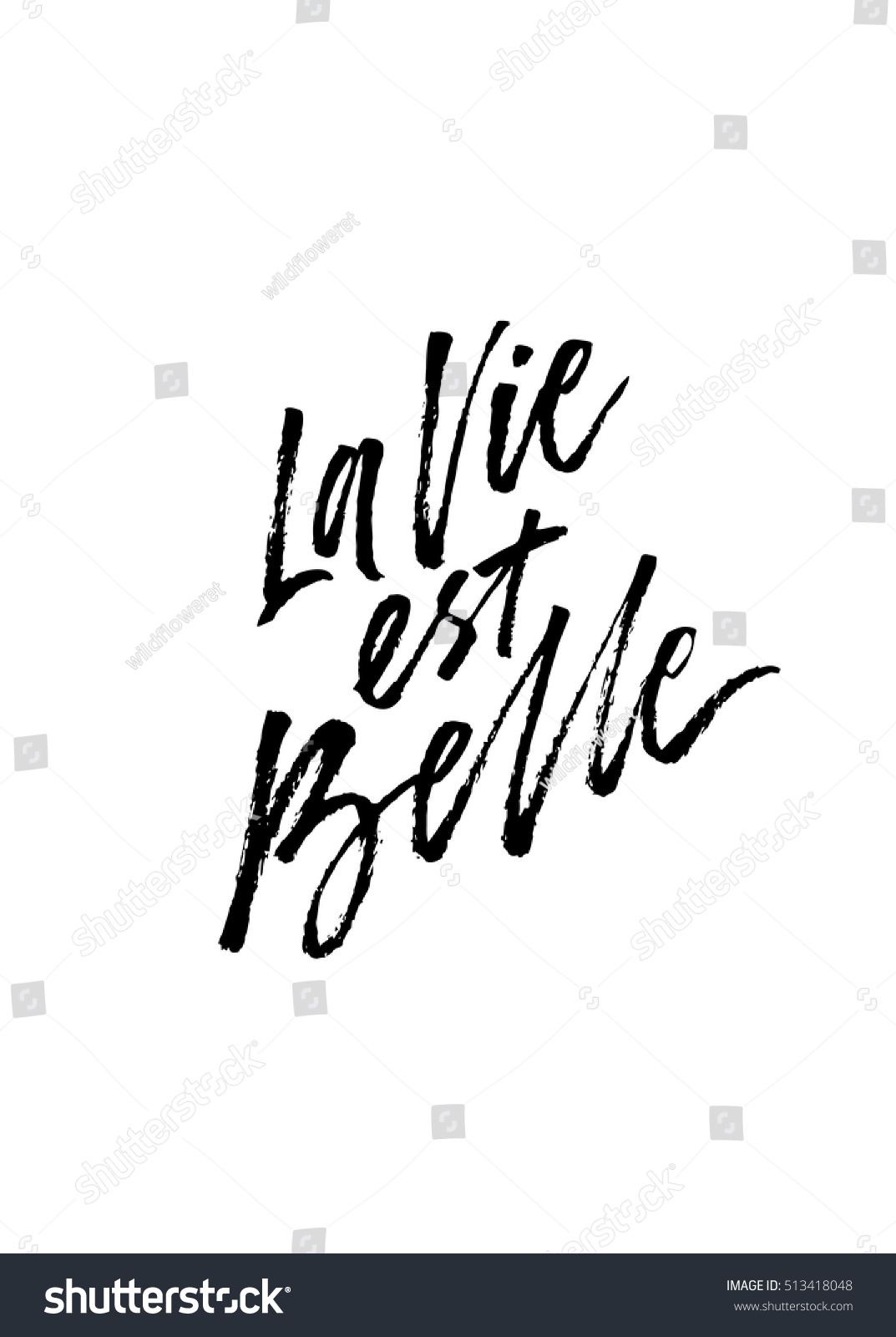 French quote La vie est Belle meaning Life is beautiful Unique hand drawn inspirational quote