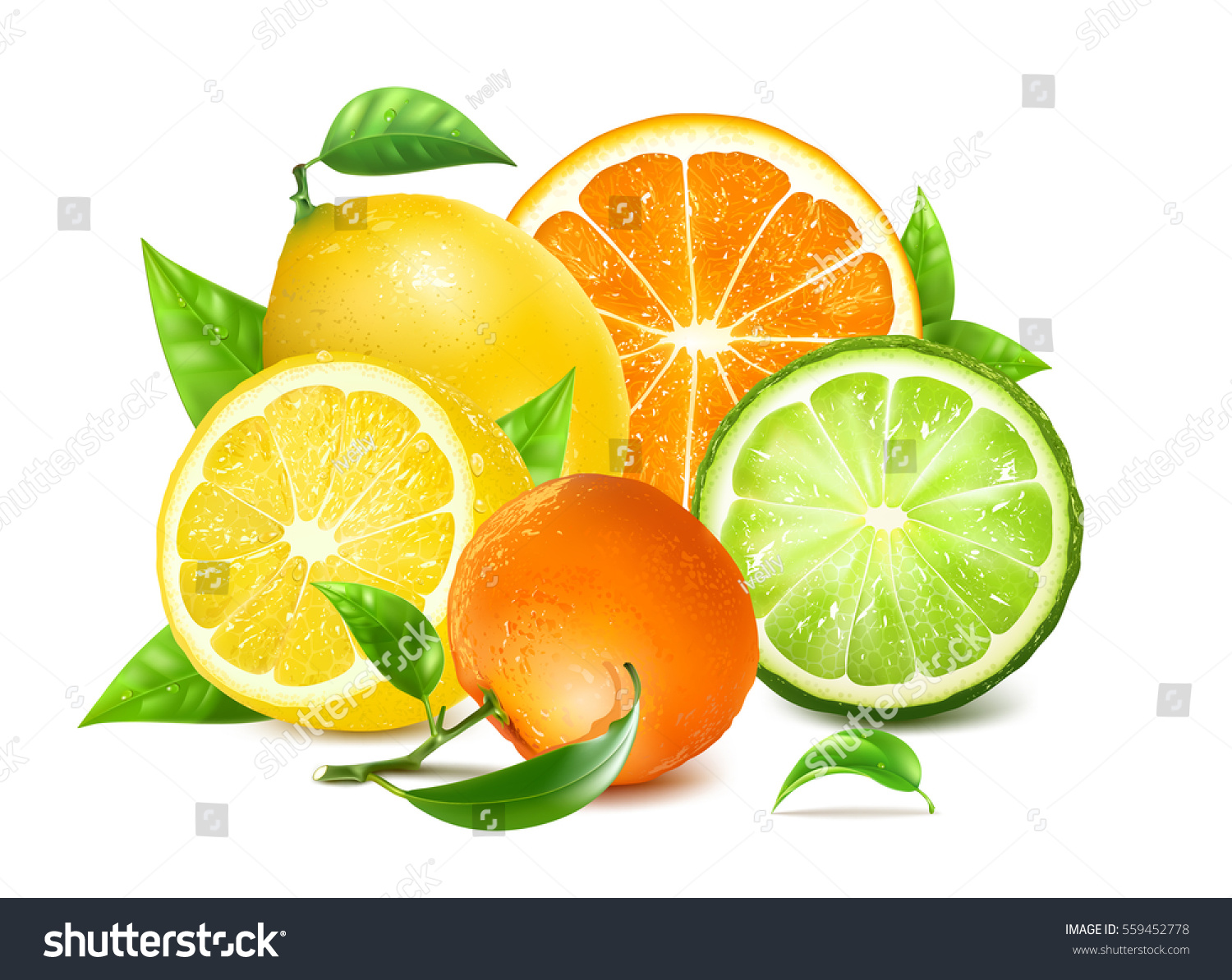 fresh citrus leaves orange lemons another のベクター画像素材