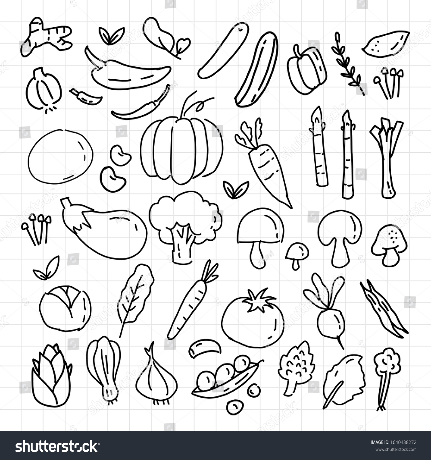 Fresh Cute Vegetable Hand Drawing Doodle Stock Vector (Royalty Free ...