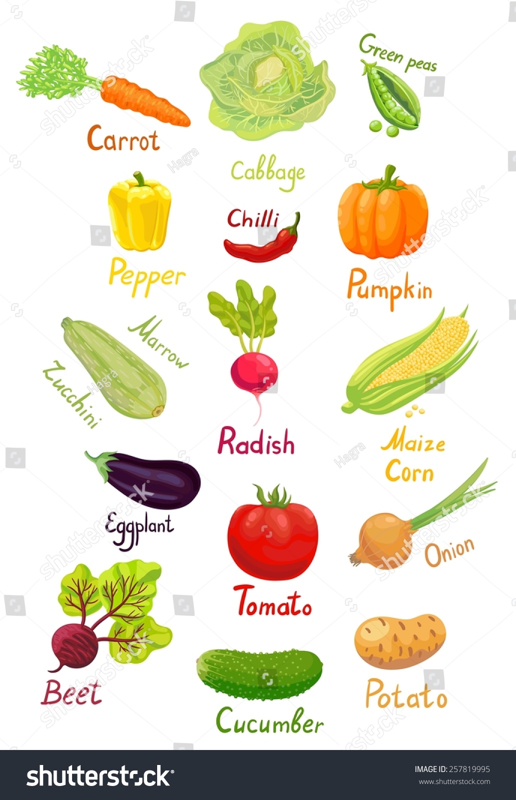 Green vegetables names