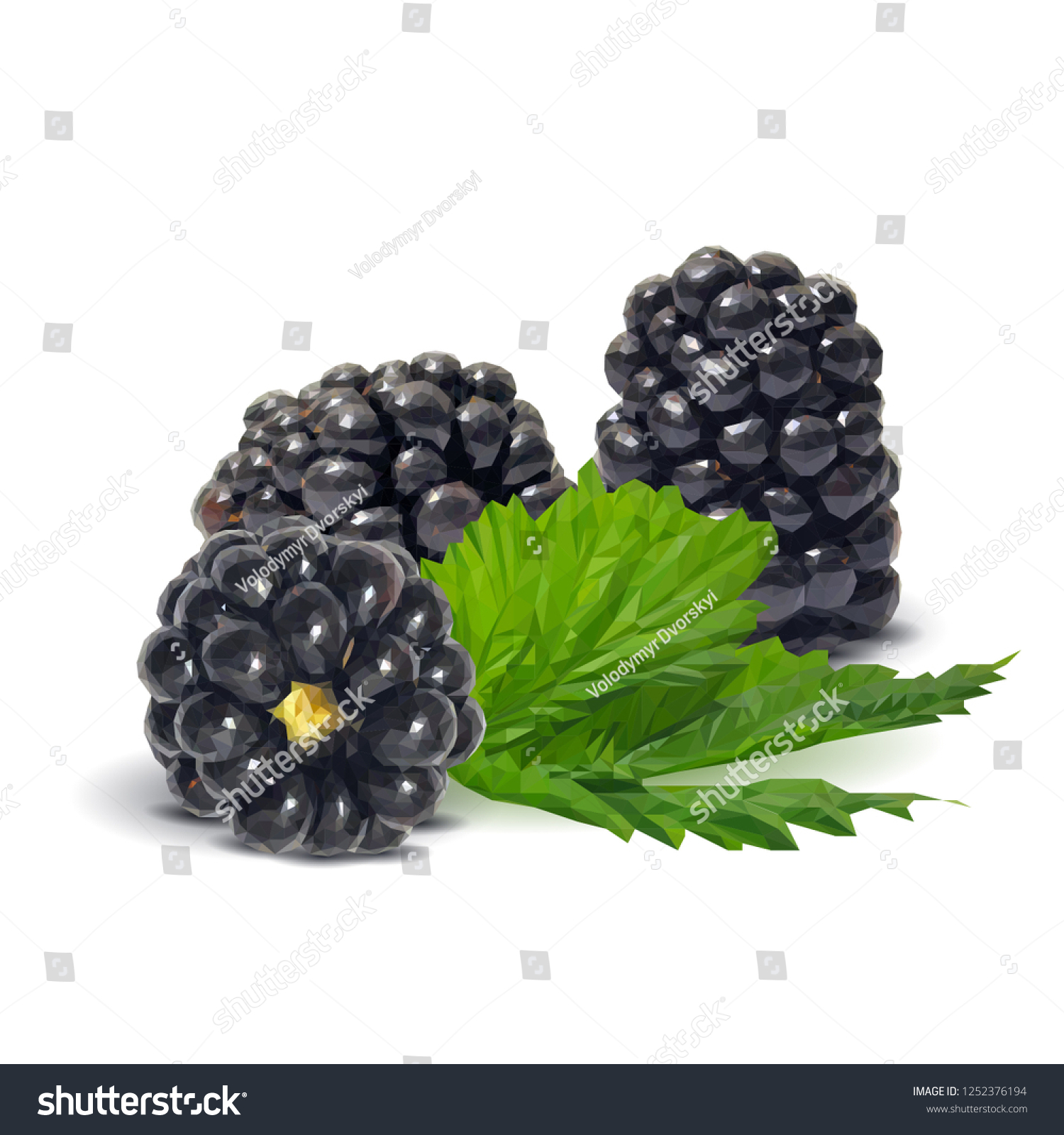 Descubra Fresh Sweet Tasty Blackberry Blooms Blackberries Imagenes De Stock En Hd Y Millones De Otras Fotos Ilustraciones Y Vectores En Stock Libres De Regalias En La Coleccion De Shutterstock Se Agregan Miles De Imagenes Nuevas De Alta Calidad