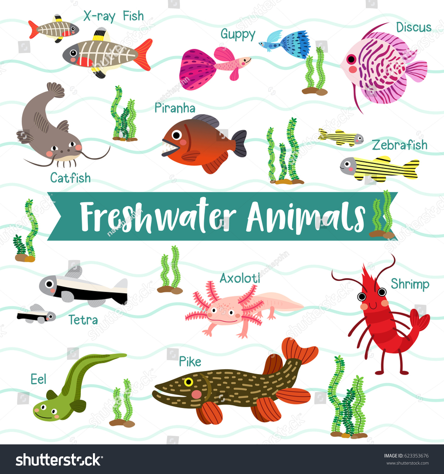 Freshwater Creature Cartoon On White Background Stock Vector Royalty Free