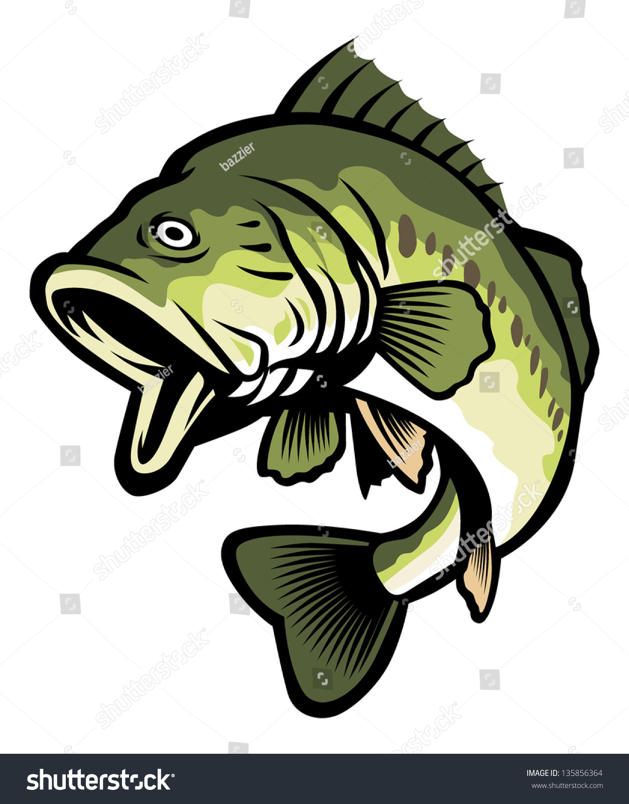 Freshwater Fish Stock Vector Illustration 135856364 : Shutterstock