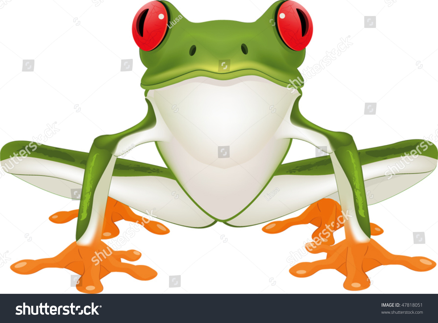 Frog Stock Vector Illustration 47818051 : Shutterstock