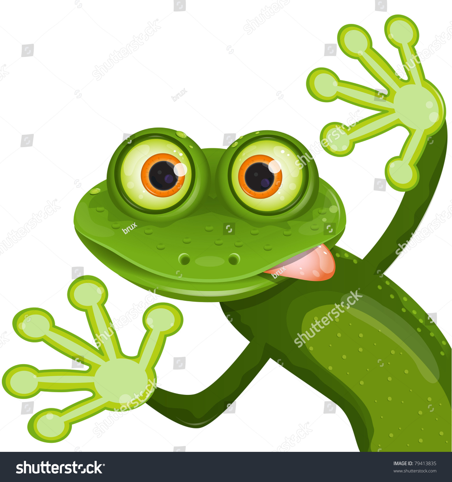 Frog Stock Vector Illustration 79413835 : Shutterstock