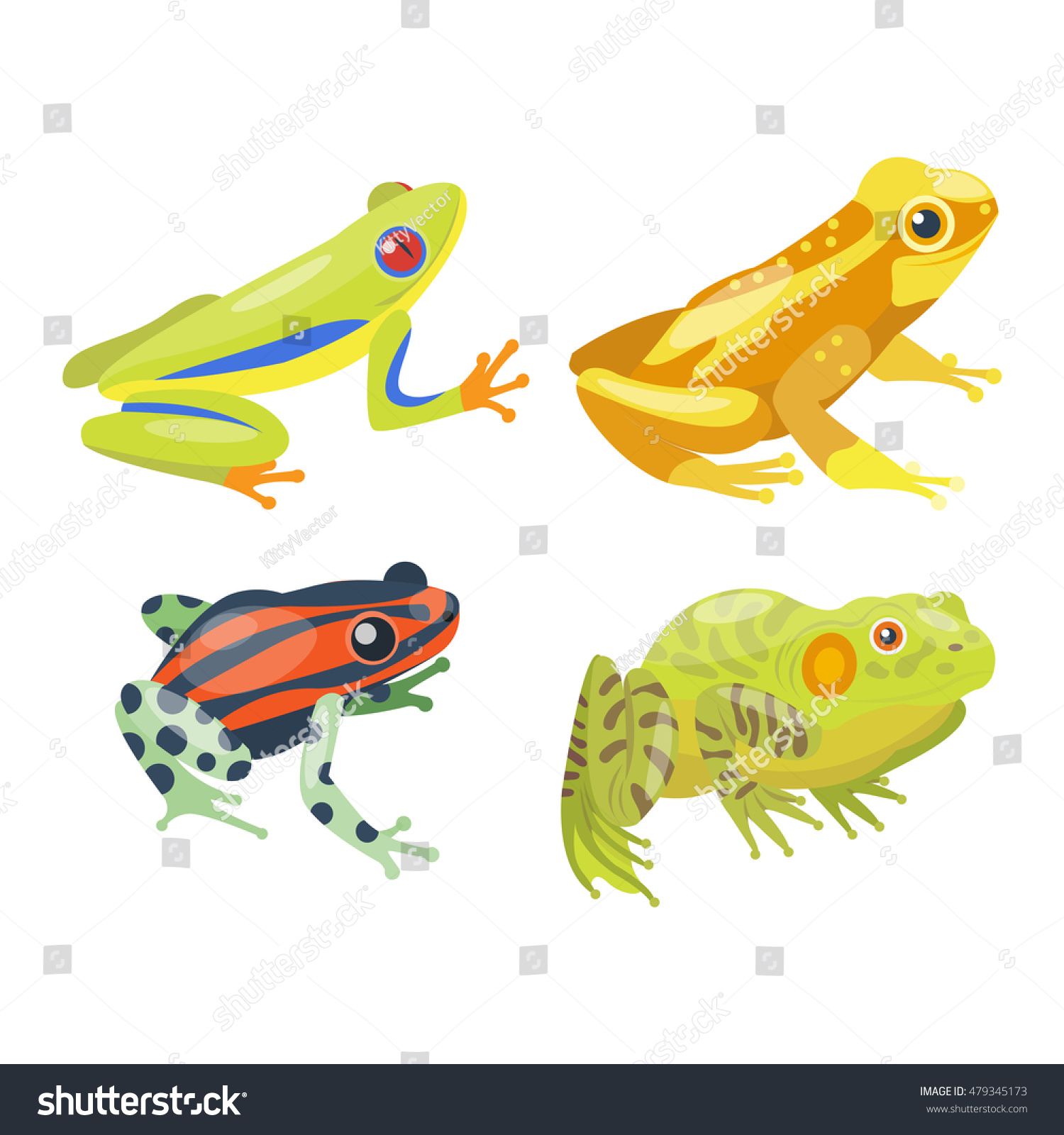 Frog Cartoon Tropical Animal Green Frog Stock Vector 479345173 ...