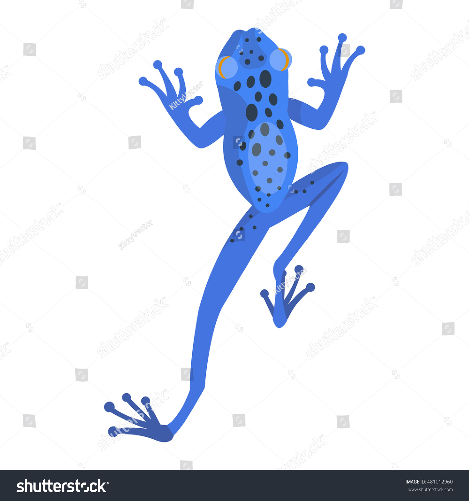 Frog Cartoon Tropical Animal Green Frog Stock Vector (Royalty Free ...