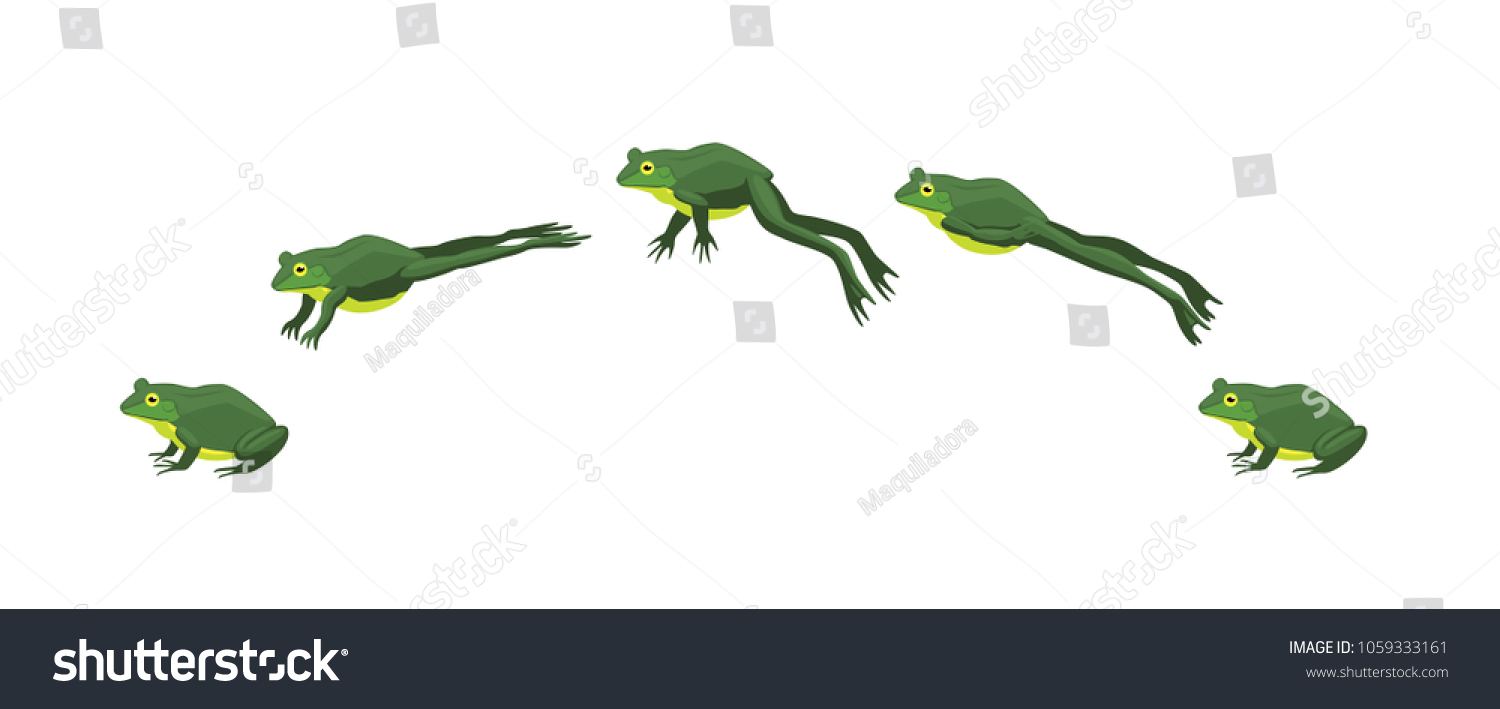 Frog Jumping Animation Sequence Cartoon Vector のベクター画像素材