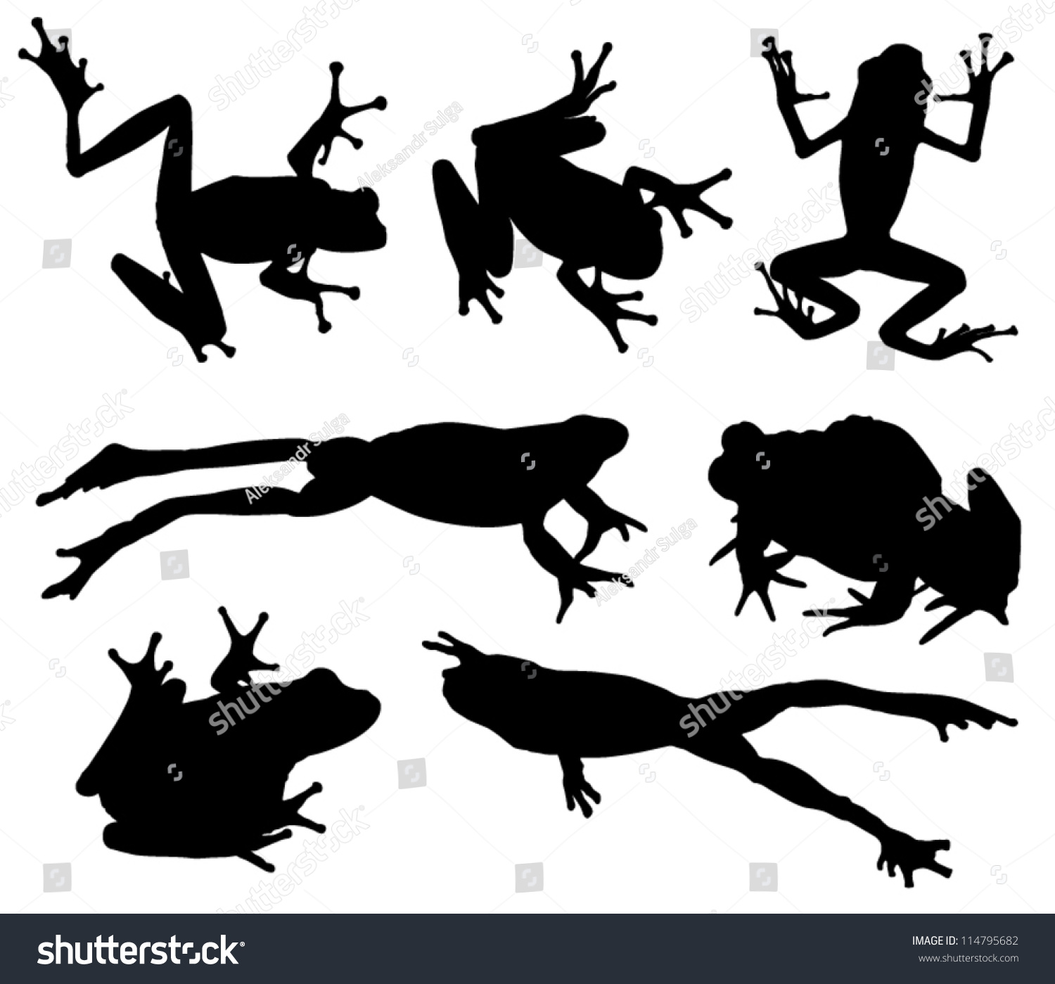 Frog Silhouette On White Background Stock Vector Illustration 114795682 ...