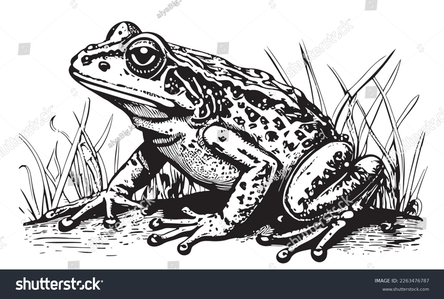 SVG of Frog sitting in grass hand drawn sketch Vector illustration Reptiles svg